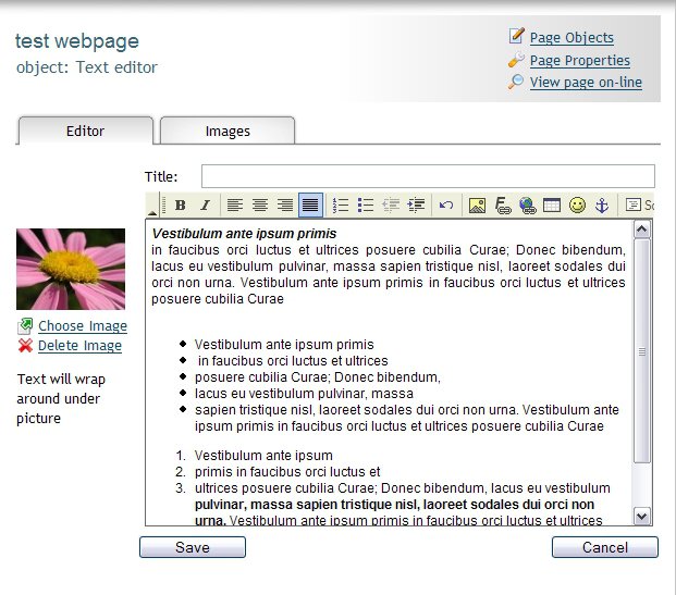 Updating texts and Images